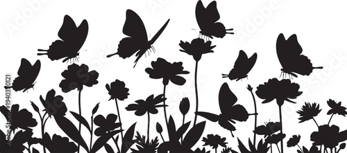 Black Silhouette of Butterflies and Flowers on White Background
