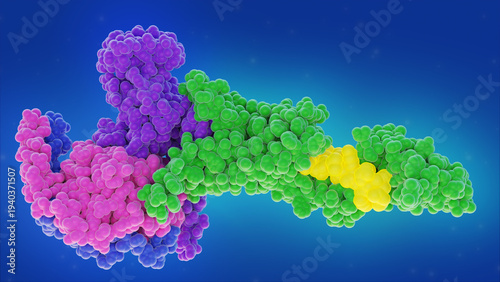 Foto Glucagon-like peptide-1 receptor (GLP-1R) complex, representing the molecular target for Tirzepatide and other GLP-1 agonists