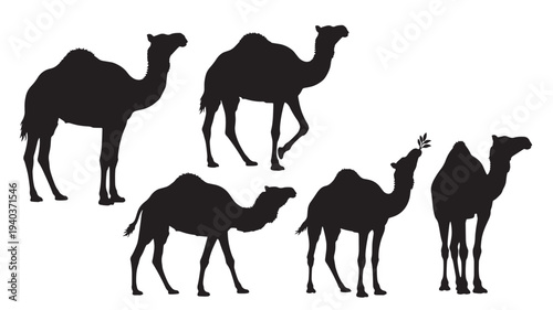 Set of 5 camel silhouettes vector