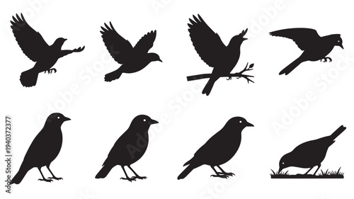 Set of 8 black bird silhouettes vector