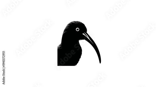 A silhouette of a bird's head and neck on a white background with a large curved beak
