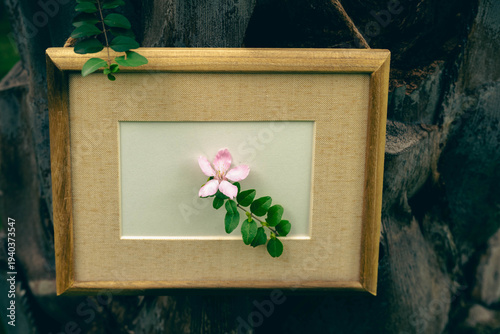 dark tone still life with wooden frame and flower on tree bark