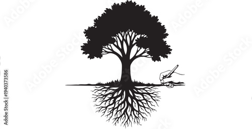 Tree Silhouette with Exposed Roots on White Background Illustration