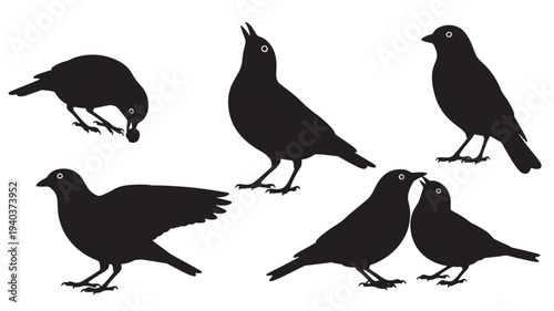 Set of 6 black bird silhouettes vector
