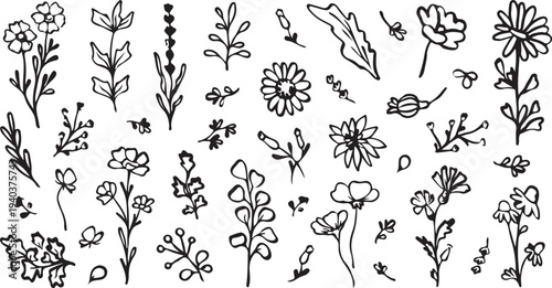 A collection of various wildflowers and plants in a simple line drawing style