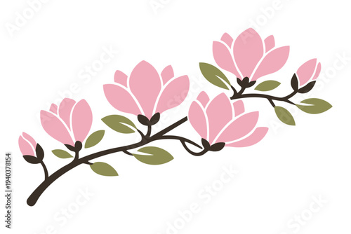 Pink Cherry Blossom Flower Branch Spring