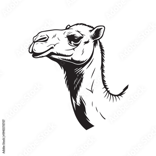 Camel Head Illustration on Isolated Background