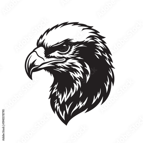 Eagle Portrait Illustration on Isolated Background