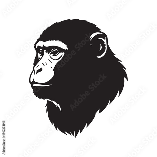 Monkey Portrait Illustration on Isolated Background