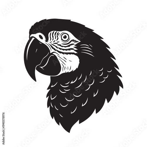Parrot Portrait Illustration on Isolated Background