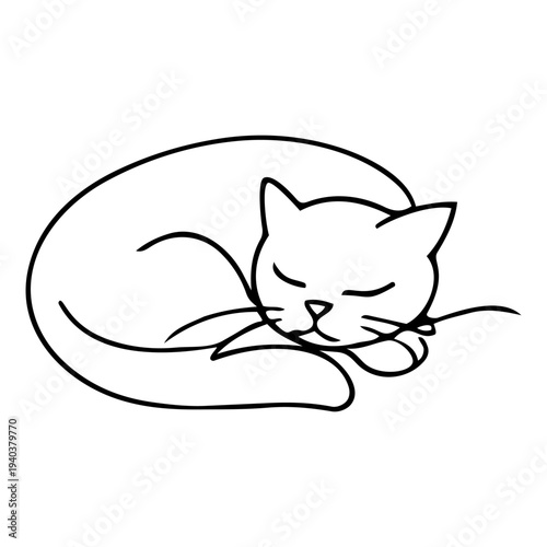 A cat is curled up and sleeping peacefully on a soft surface in a warm indoor setting. The sunlight shines gently on the cat as it rests.