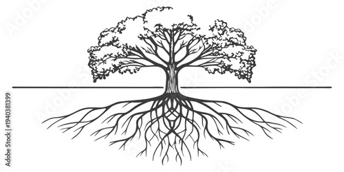 Tree with extensive root system and sprawling canopy