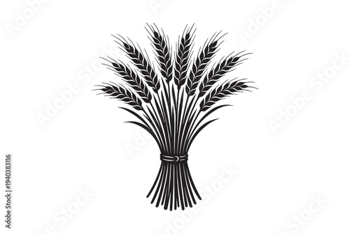 Wheat ears hand drawing vector illustration on white background