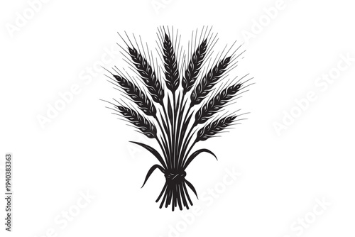 Wheat ears hand drawing vector illustration on white background