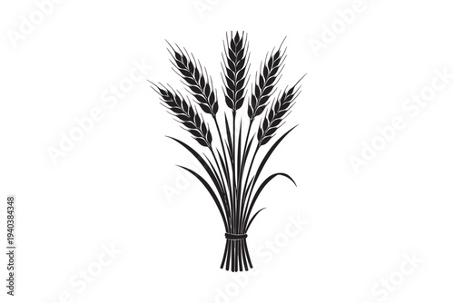 Wheat ears hand drawing vector illustration on white background