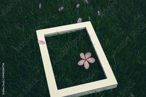 a empty frame with spring flower on the green grass