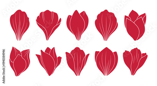 Set of vector abstract petals isolated on transparency grid background