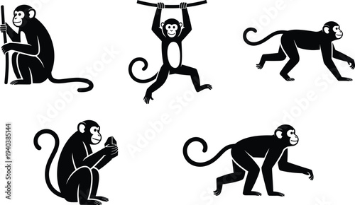 Monkey silhouette collection with different poses including sitting, walking, climbing and hanging, primate animal black icons set isolated on white backgroun
