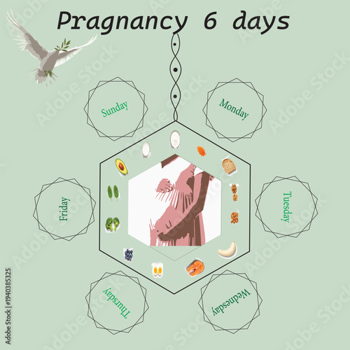 Pregnancy Nutrition Planner for 6 Days Featuring Healthy Food Icons and Pregnant Woman Illustration on Pastel Background