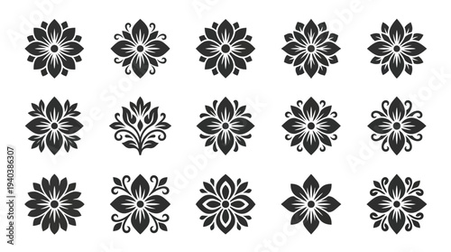 A Collection of Intricate Floral Vector Ornaments, Decorative Elements, and Elegant Design Motifs