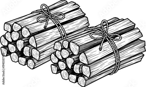Hand Drawn of Bundles of Cinnamon Sticks Tied with Twine White Background spice ingredient