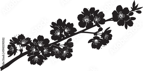 Black and white cherry blossom branch with flowers isolated