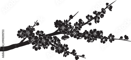 Silhouette of a blooming tree branch with flowers isolated