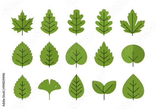 A flat design illustration vector featuring twelve different green leaves with black outlines on a white background.