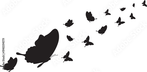 Flock of birds in flight, black silhouettes against white