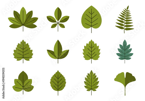 A flat design illustration vector featuring twelve different green leaves with black outlines on a white background.