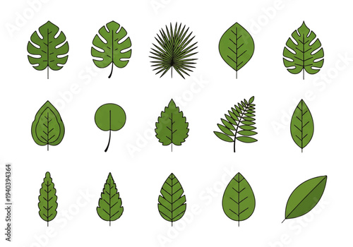 A flat design illustration vector featuring twelve different green leaves with black outlines on a white background.