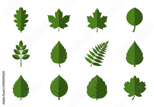 A flat design illustration vector featuring twelve different green leaves with black outlines on a white background.