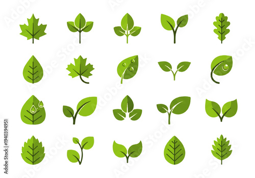 A flat design illustration vector featuring twelve different green leaves with black outlines on a white background.