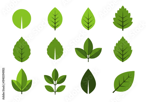 A flat design illustration vector featuring twelve different green leaves with black outlines on a white background.