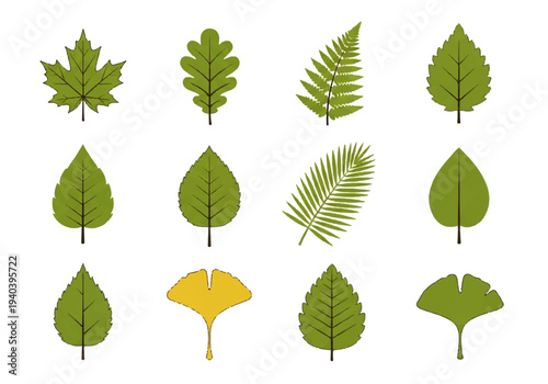 A flat design illustration vector featuring twelve different green leaves with black outlines on a white background.