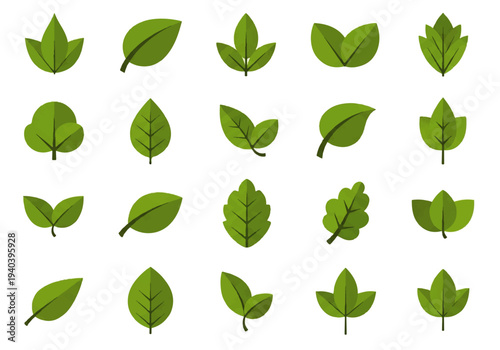 A flat design illustration vector featuring twelve different green leaves with black outlines on a white background.