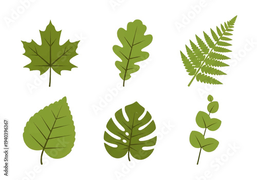 A flat design illustration vector featuring twelve different green leaves with black outlines on a white background.