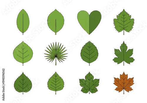A flat design illustration vector featuring twelve different green leaves with black outlines on a white background.