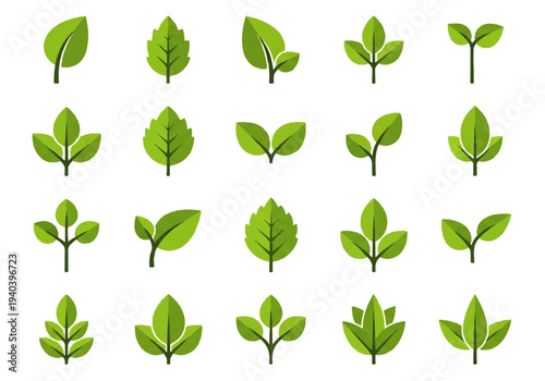 A flat design illustration vector featuring twelve different green leaves with black outlines on a white background.