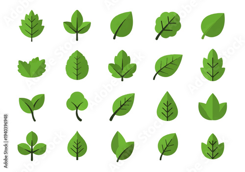 A flat design illustration vector featuring twelve different green leaves with black outlines on a white background.