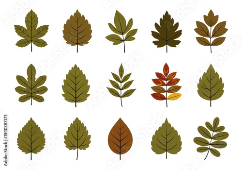 A flat design illustration vector featuring twelve different green leaves with black outlines on a white background.