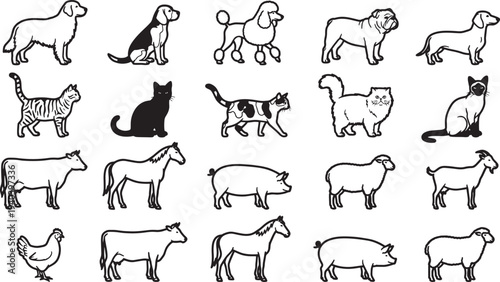A collection of diverse animal illustrations, featuring various species of domesticated and farm animals. Each illustration is meticulously rendered.
