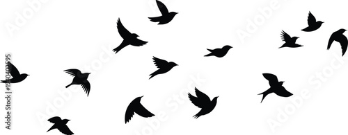 Flock of Birds Silhouettes in Flight on White Background vector untitled