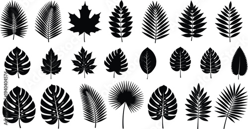Tropical and deciduous leaves silhouette set featuring monstera palm maple and fern foliage for botanical nature and summer garden vector