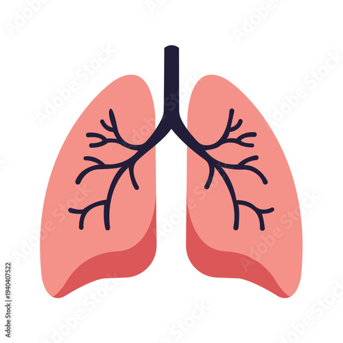 Human lungs with bronchial tree anatomy flat vector illustration.