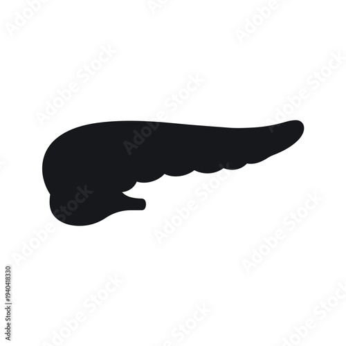 Human Pancreas Anatomy Silhouette Vector - Endocrine and Digestive System Organ Icon