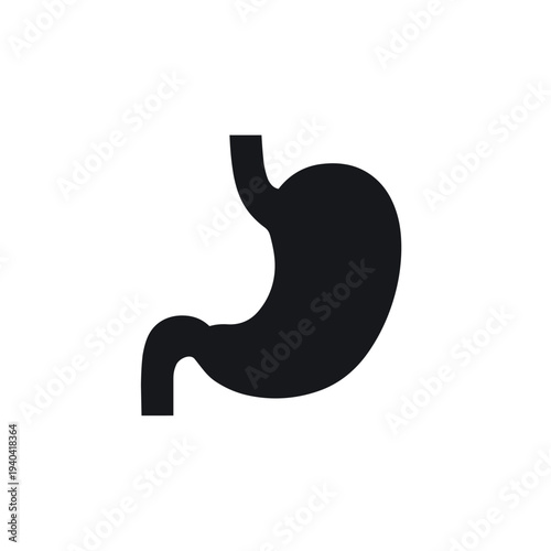 Human Stomach Anatomy Silhouette Vector - Digestive System Medical Organ Icon