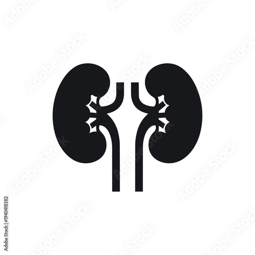 Human Kidneys Anatomy Silhouette Vector - Renal System Medical Organ Icon