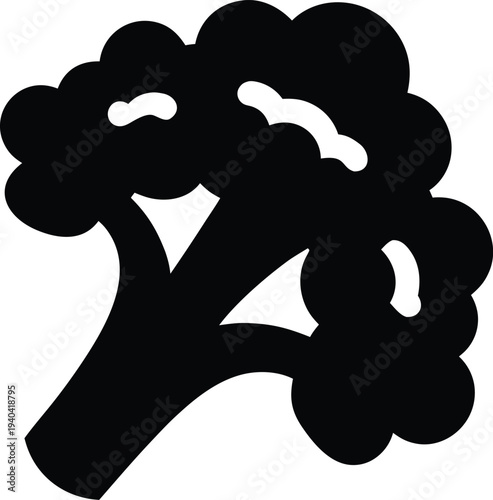 cauliflower silhouette vector illustration on transparent background