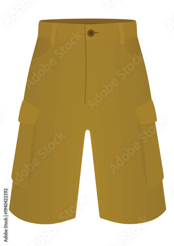 Brown male shorts. vector illustration
